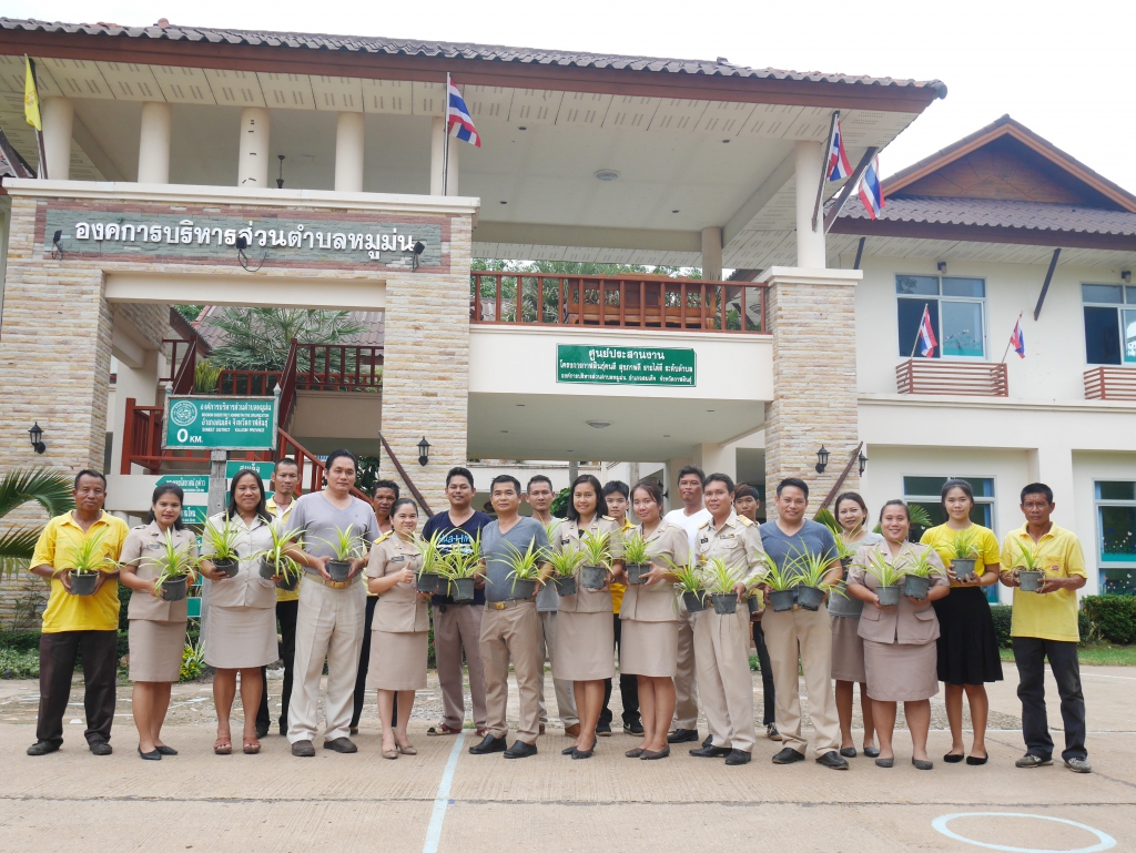 กิจกรรมปลูกป่าสร้างพื้นที่สีเขียวบริเวณที่ทำการองค์การบริหารส่วนตำบลหมูม่น